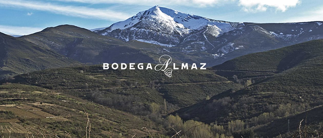 Almaz Bodega