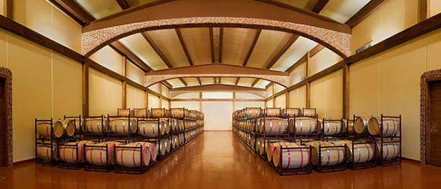 Viñedos y Bodegas Asensio Carcelén
