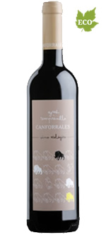 Imagen Botella