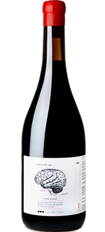 Imagen Botella