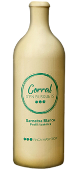 Imagen Botella