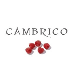 Viñas del Cámbrico