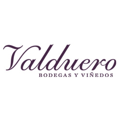 Bodegas Valduero