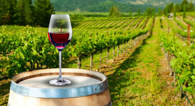 Rutas del Vino